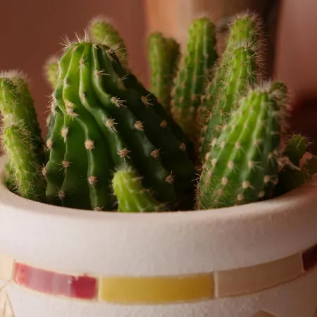 Apartment Village House 아파트 *