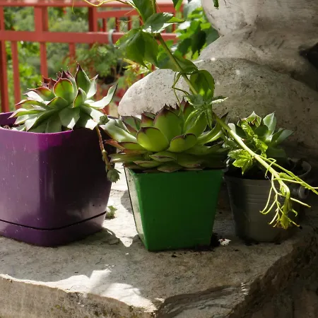 아파트 Apartment Village House