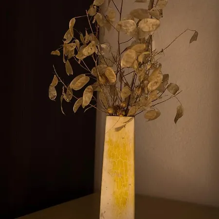 Appartamento Apartment Village House Ravno