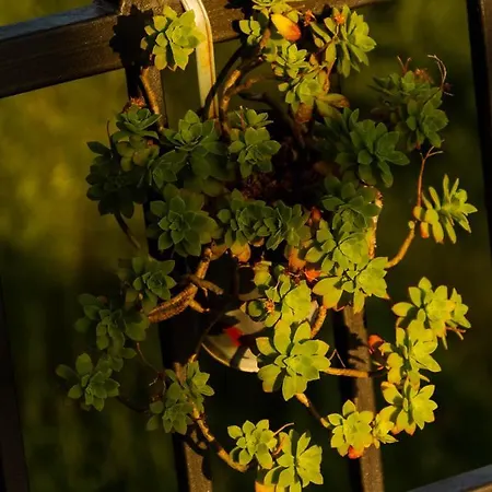 Apartment Village House 아파트 Ravno