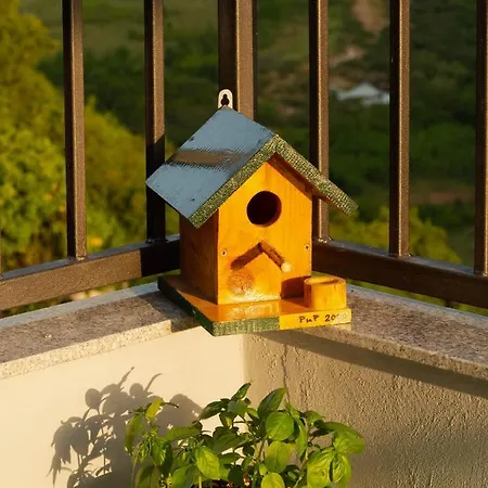 Apartment Village House Apartment *